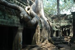 cambodia7133