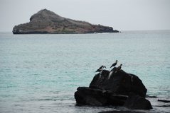 galapagos-islands3024