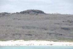 galapagos-islands3501
