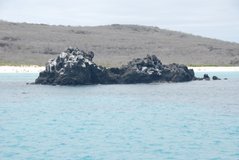 galapagos-islands3502