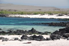 galapagos-islands3533