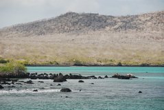 galapagos-islands4039