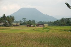 indonesia1151