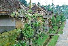 indonesia4109
