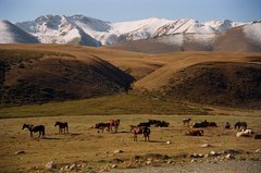 kyrgyzstan1107