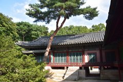 zuid-korea1756