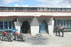 tibet2005