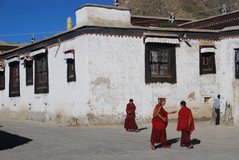 tibet3022