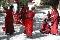 tibet6266
